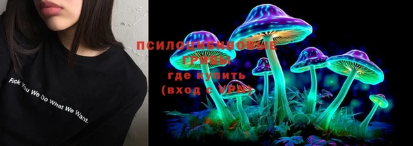 ешки Пестово