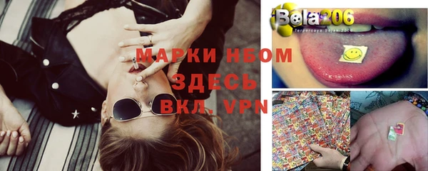 прущая мука Пересвет