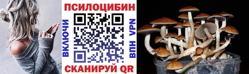 Купить где  Ртищево  Псилоцибиновые грибы прущие грибы 
