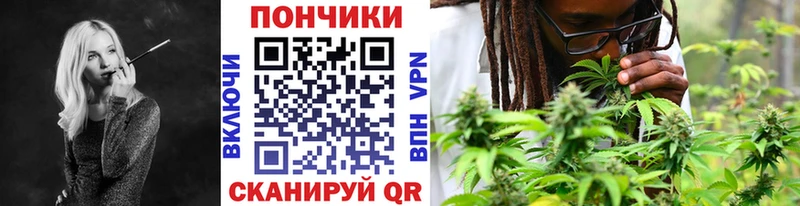 Купить закладки  Ртищево  Бошки марихуана сатива 